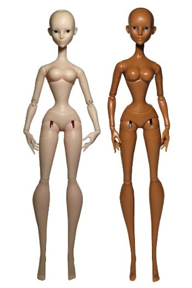 Blank Kadira Bodies