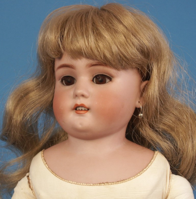 25-inch Dainty Dorothy close-up